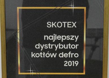 SKO-TEX najlepszym dystrybutorem kotłów DEFRO w 2019 roku!